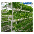 Agriculture DWC Vertical PVC Systèmes de croissance hydroponiques